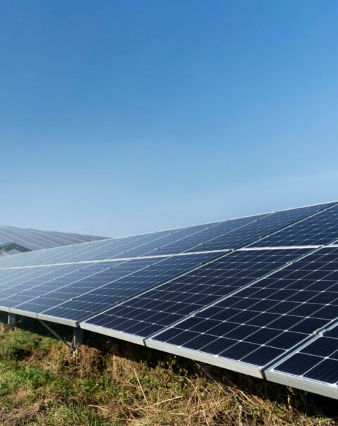 beautiful-alternative-energy-plant-with-solar-panels